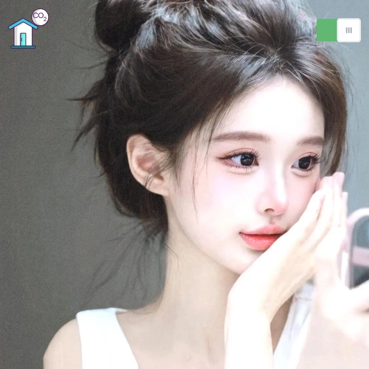 何女士